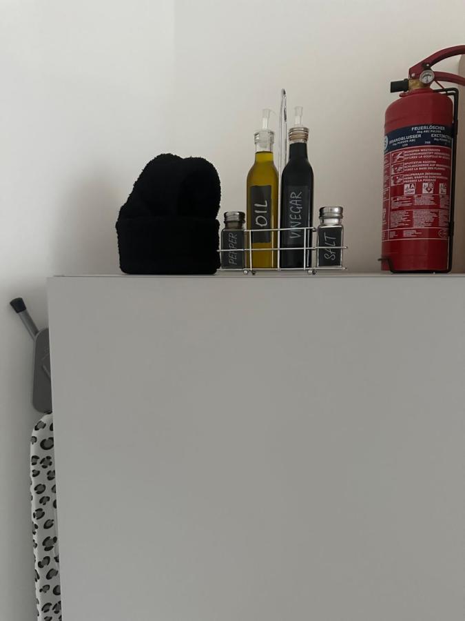 Klimatisiertes Dachgeschoss City Apartment In Zentrum Wiens ภายนอก รูปภาพ